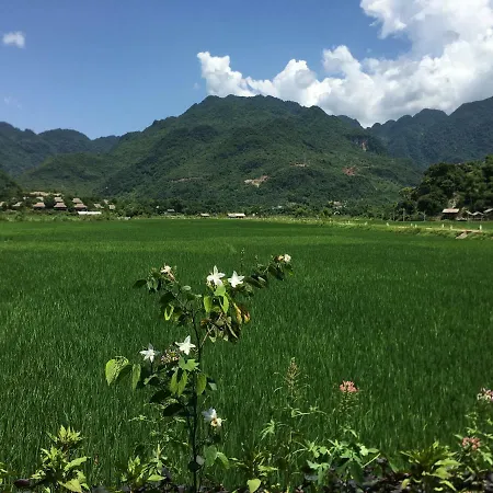 Mai Chau Rice Fields Homestay Exterior photo