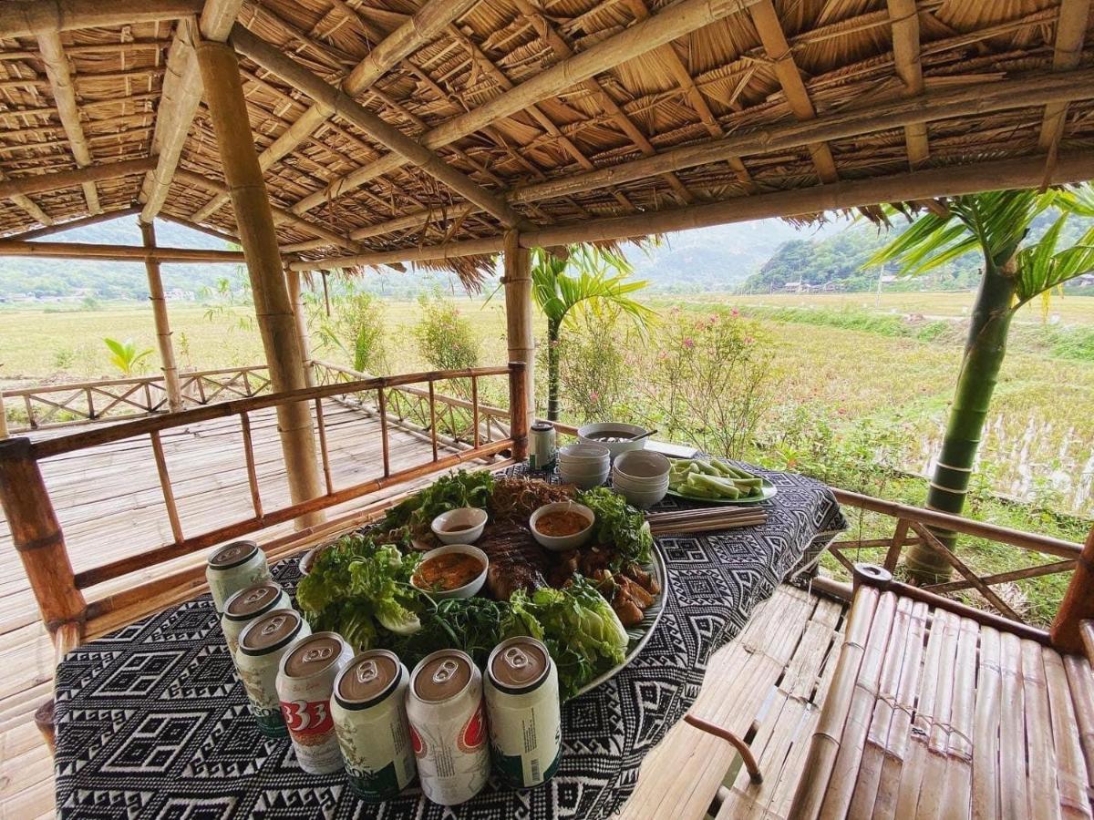 Rice Fields *