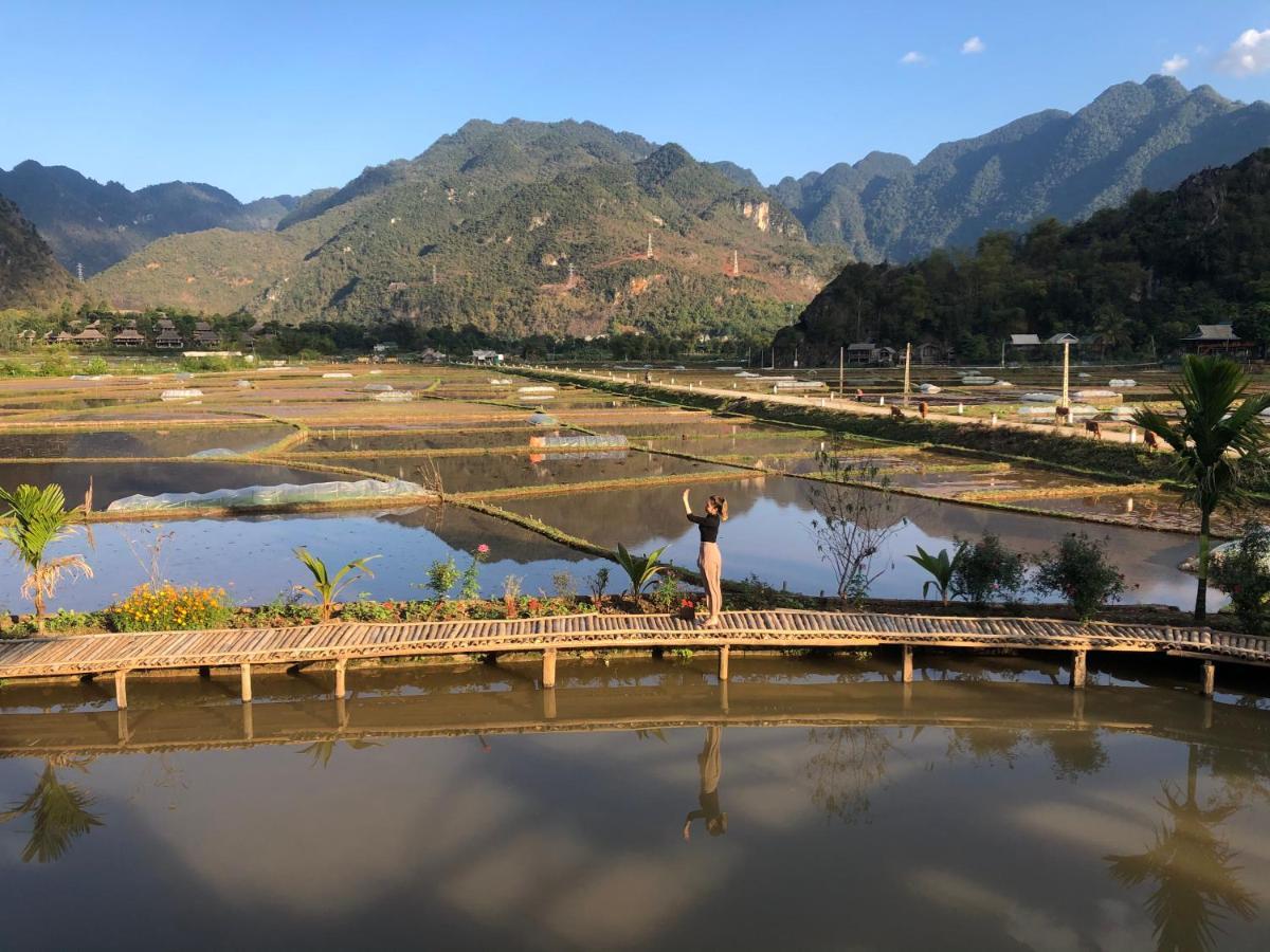 Homestay Rice Fields