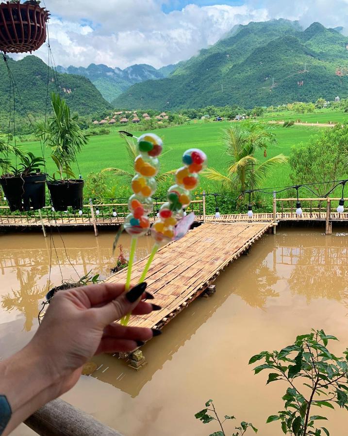 Rice Fields Homestay *