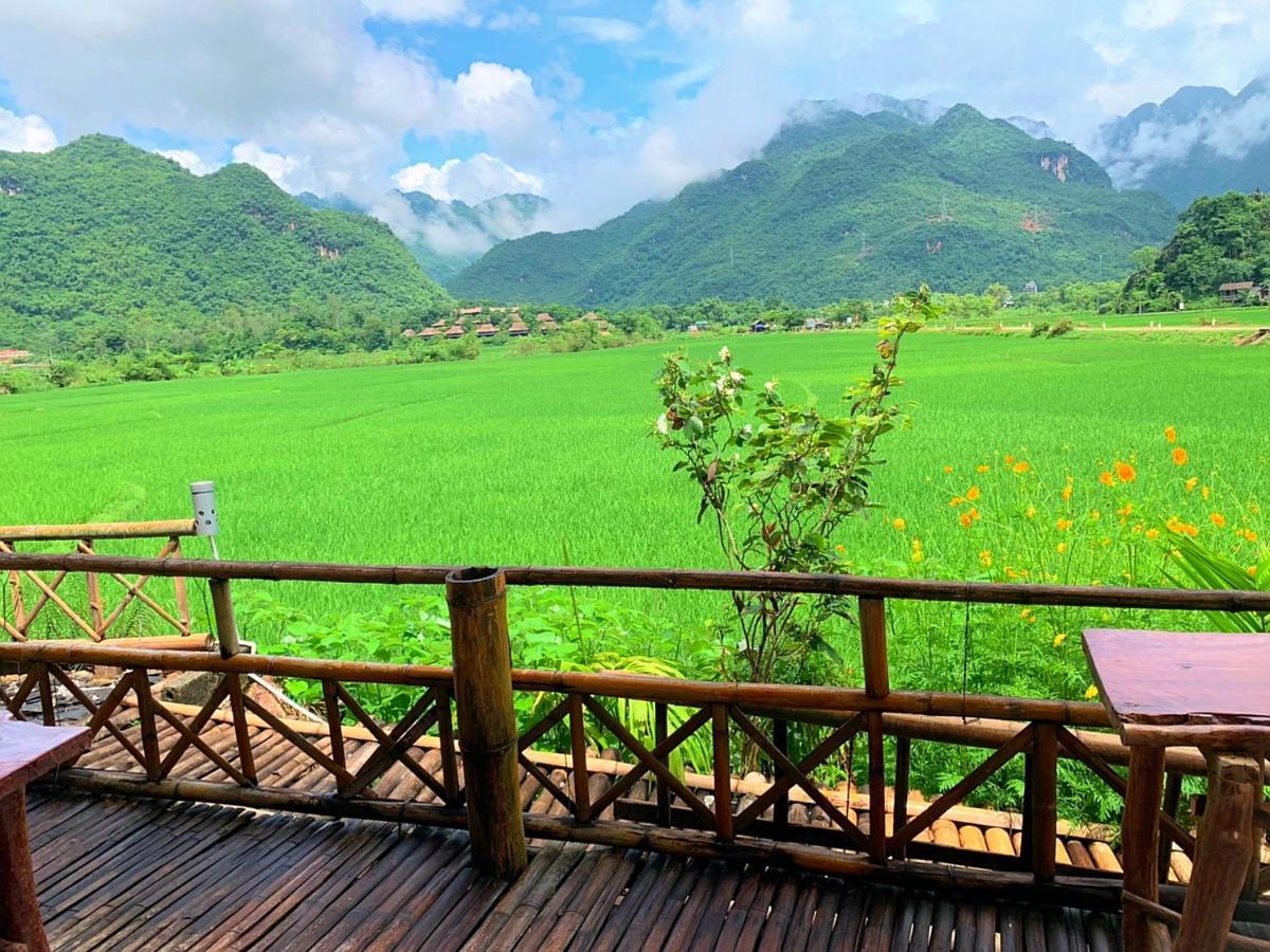 Rice Fields Homestay *