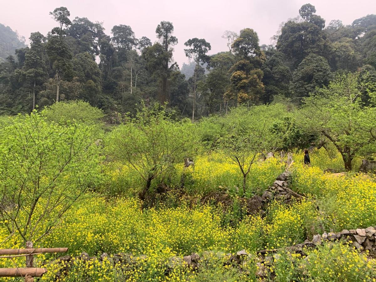 Homestay Rice Fields