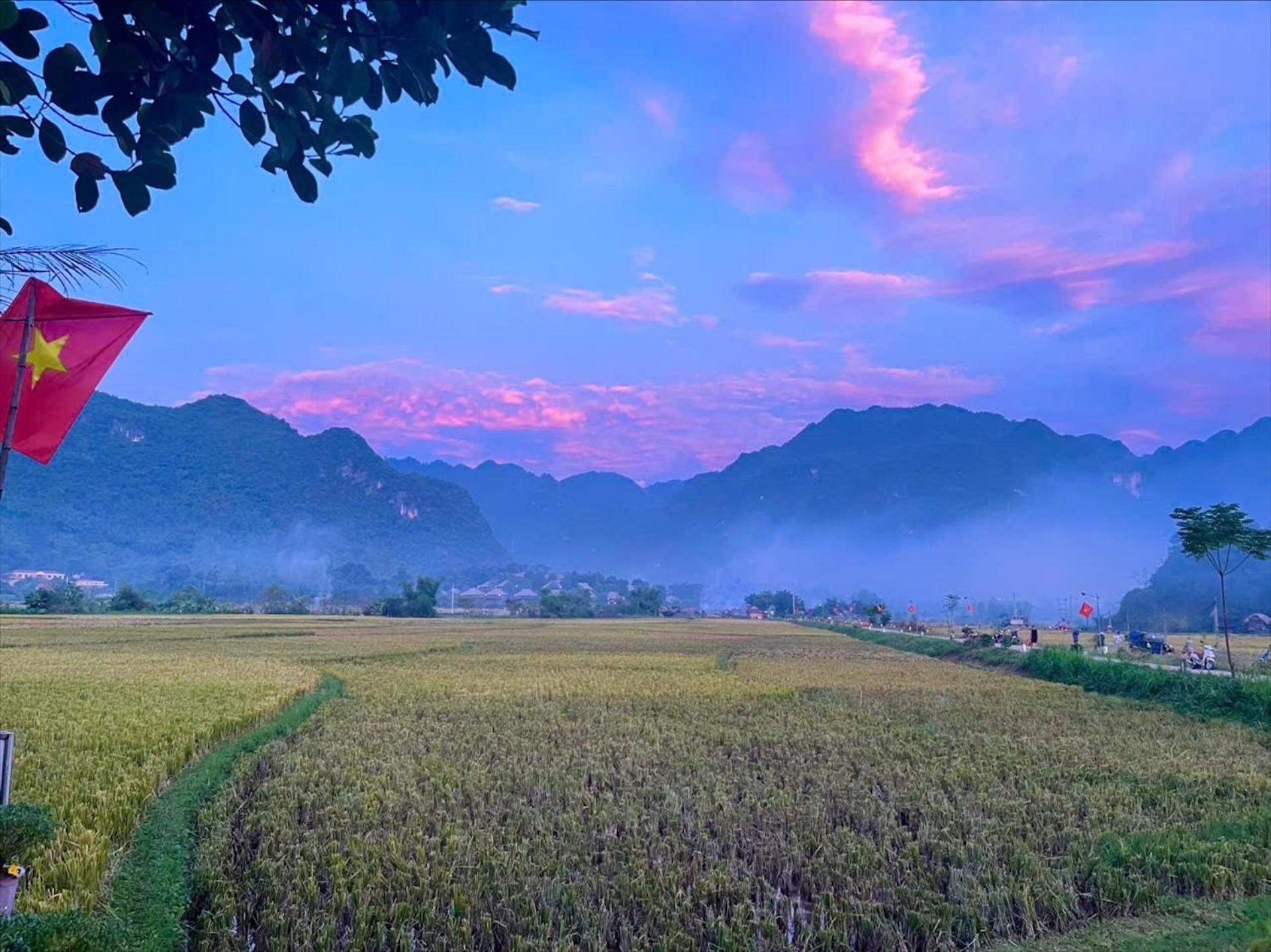 Rice Fields Homestay