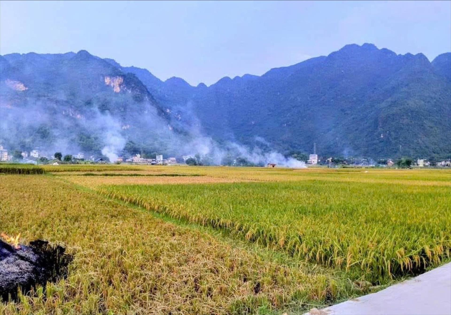 Homestay Rice Fields Mai Chau