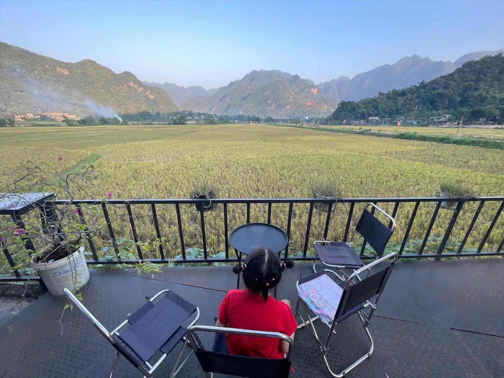 Homestay Rice Fields *