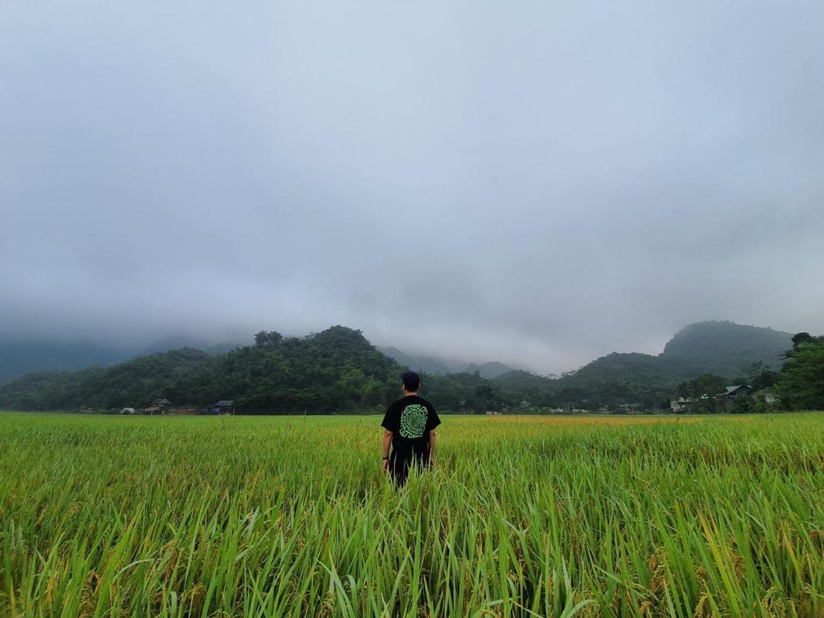 Rice Fields Mai Chau